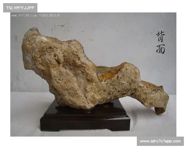 百年木制曲棍球拍拍出百万天价 揭秘稀世器材的历史与收藏价值 百年木制曲棍球拍拍出百万天价 揭秘稀世器材的历史与收藏价值