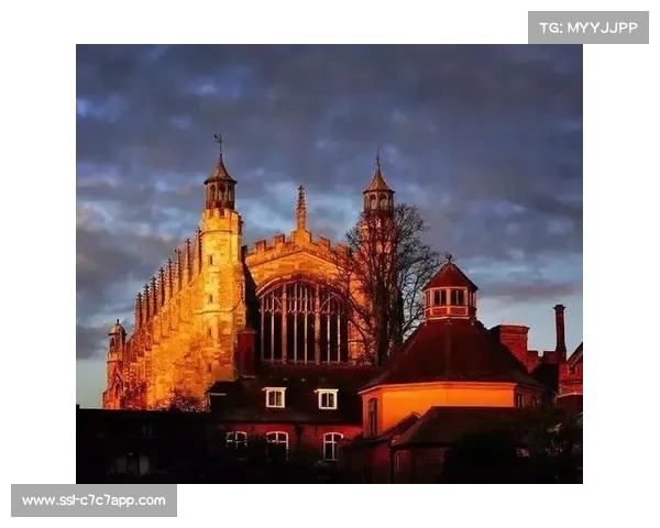 拳击文化内涵:超越功利的体育精神价值 拳击文化内涵:超越功利的体育精神价值